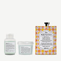 Colored Hair Travel Set 1 kit