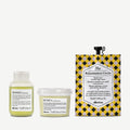 Dry Hair Travel Set 1 kit